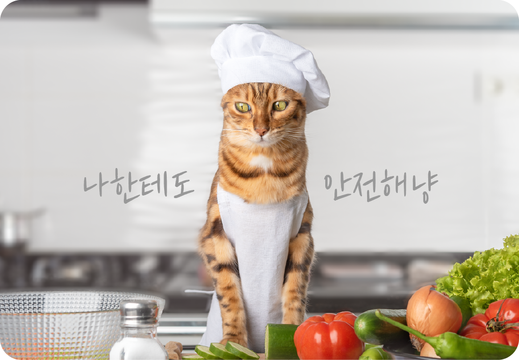 요리사 모자 쓴 고양이 사진 : 나한테도 안전해냥